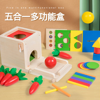 Montessori Toys Play Kit Sorting & Matching Toys Coin Ball Box Multi-function Stick Pull Radish Game Baby Learning Toys - HatCat