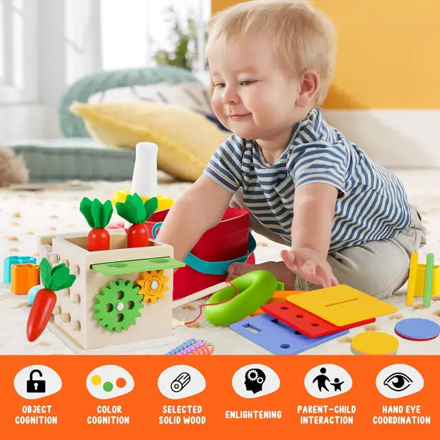 Montessori Toys Play Kit Sorting & Matching Toys Coin Ball Box Multi-function Stick Pull Radish Game Baby Learning Toys - HatCat