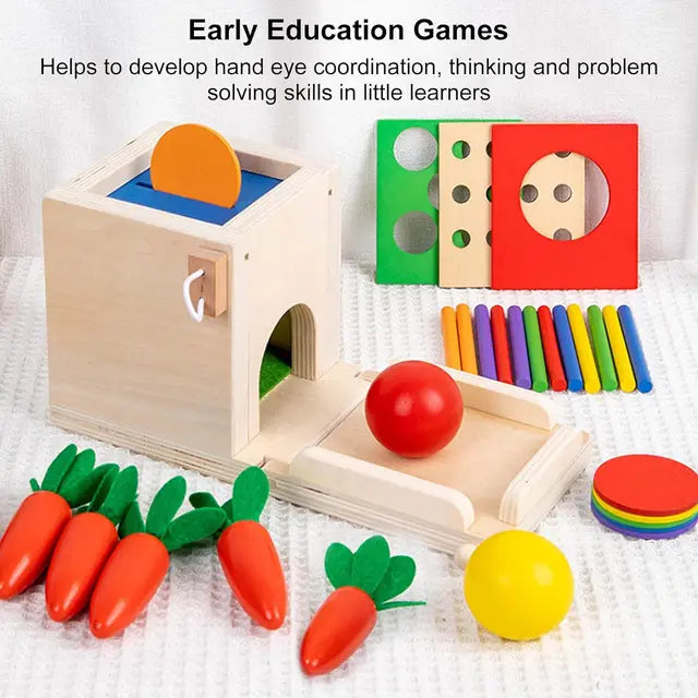 Montessori Toys Play Kit Sorting & Matching Toys Coin Ball Box Multi-function Stick Pull Radish Game Baby Learning Toys - HatCat