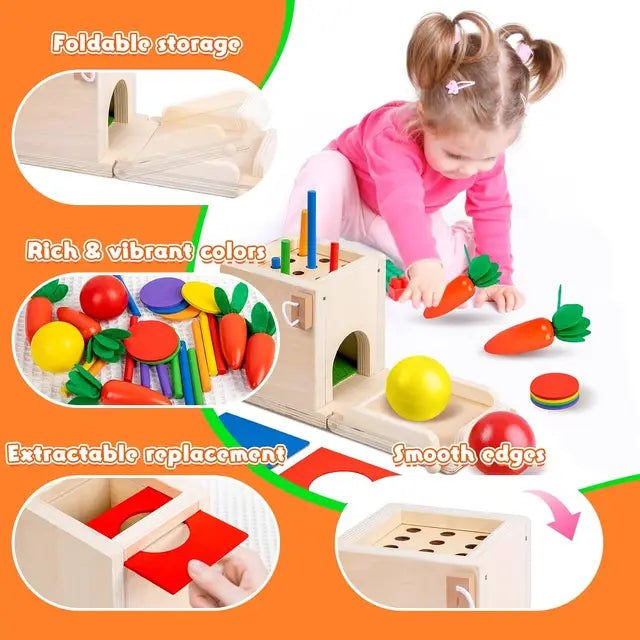 Montessori Toys Play Kit Sorting & Matching Toys Coin Ball Box Multi-function Stick Pull Radish Game Baby Learning Toys - HatCat