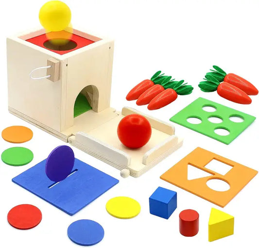 Montessori Toys Play Kit Sorting & Matching Toys Coin Ball Box Multi-function Stick Pull Radish Game Baby Learning Toys - HatCat