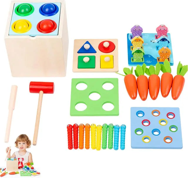 Montessori Toys Play Kit Sorting & Matching Toys Coin Ball Box Multi-function Stick Pull Radish Game Baby Learning Toys - HatCat