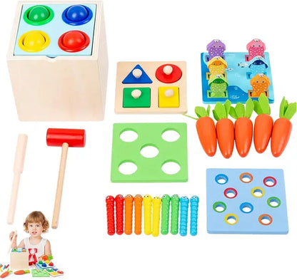 Montessori Toys Play Kit Sorting & Matching Toys Coin Ball Box Multi-function Stick Pull Radish Game Baby Learning Toys - HatCat