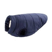 Colete Pet Steve™ | Roupa Para Cachorro - HatCat