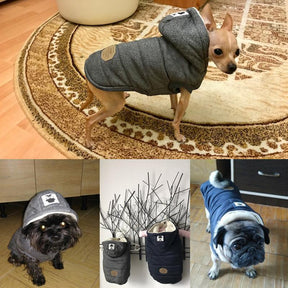 Colete de Inverno para Cachorros | Gentleman - HatCat